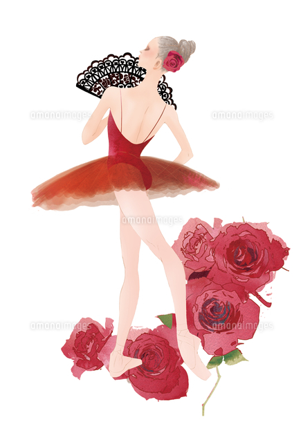 赤いバラを背景のバレエのドンキホーテのキトリ の写真素材 イラスト素材 アマナイメージズ