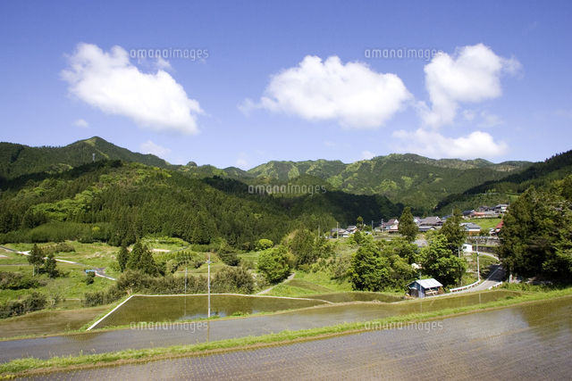 イラスト 山村 寺坂さん 芳養小 に最優秀賞 県の山村絵画コンクール AGARA 和歌山県のニュースサイト