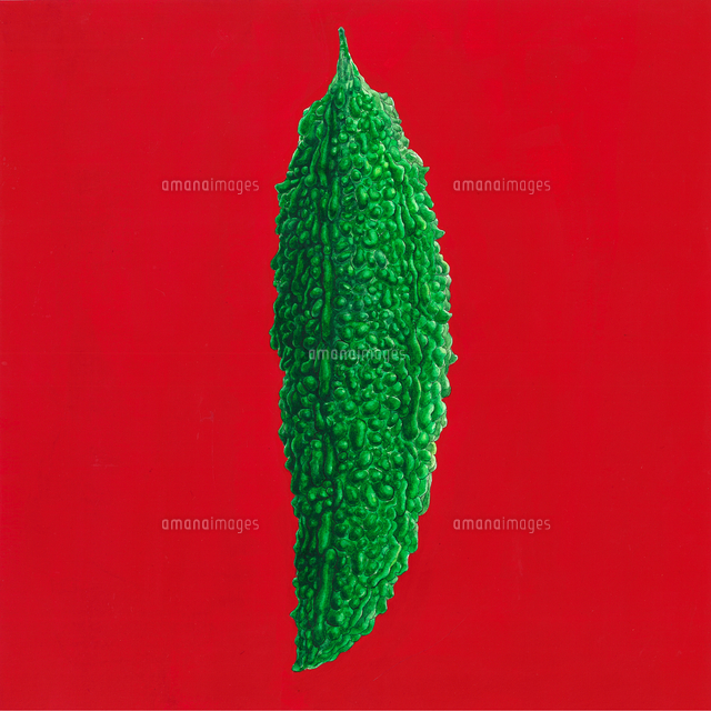 大ぶりで美味そうなゴーヤー の写真素材 イラスト素材 アマナイメージズ