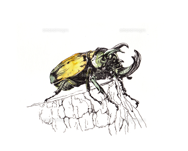 タイトル未設定 の写真素材 イラスト素材 アマナイメージズ タイトル未設定 の写真素材 イラスト素材 アマナイメージズ