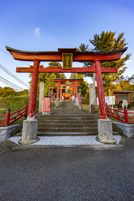 篠山の千本鳥居と言われる王地山稲荷神社[10983000020]の写真