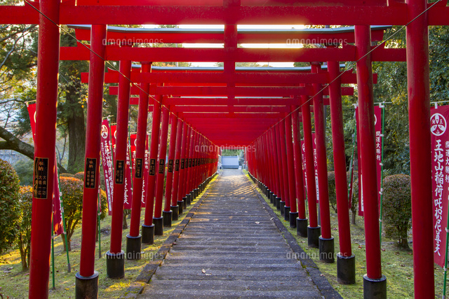 篠山の千本鳥居と言われる王地山稲荷神社[10983000074]の写真
