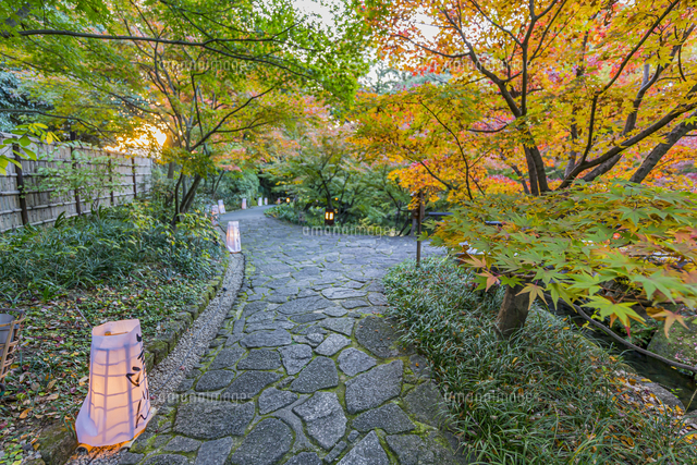 徳川園 石畳と紅葉の散策路 の写真素材 イラスト素材 アマナイメージズ