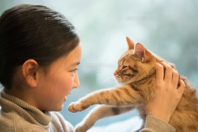 猫と遊ぶ少女 の写真素材 イラスト素材 アマナイメージズ