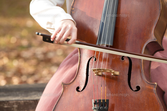 公園でチェロを弾く20代女性[10990004808]の写真・イラスト素材