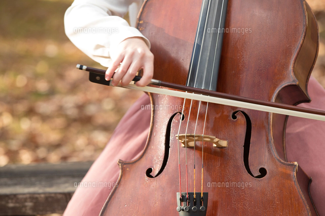 公園でチェロを弾く20代女性[10990004799]の写真・イラスト素材