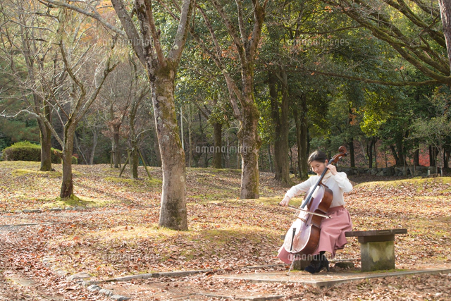 チェロを弾く女 manami hirai profile