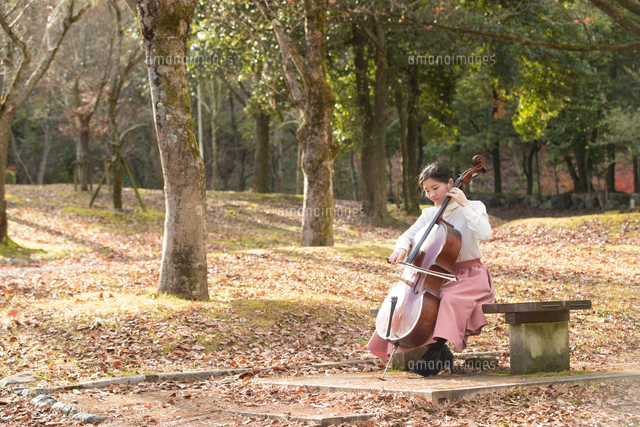 公園でチェロを弾く20代女性[10990004807]の写真・イラスト素材
