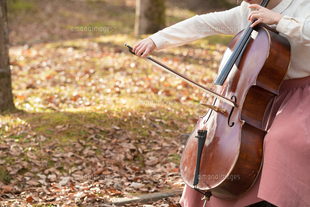公園でチェロを弾く20代女性[10990004809]の写真・イラスト素材