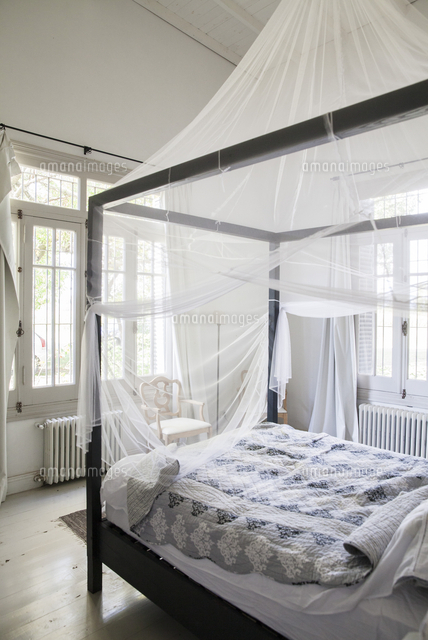 Canopy Bed With Mosquito Netting の写真素材 イラスト素材 アマナイメージズ