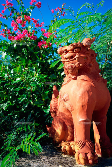 シーサー 宮古島 の写真素材 イラスト素材 アマナイメージズ