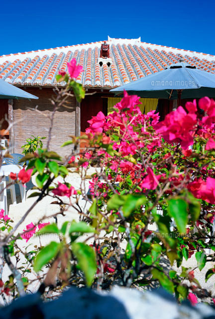 赤瓦の家 竹富島 の写真素材 イラスト素材 アマナイメージズ