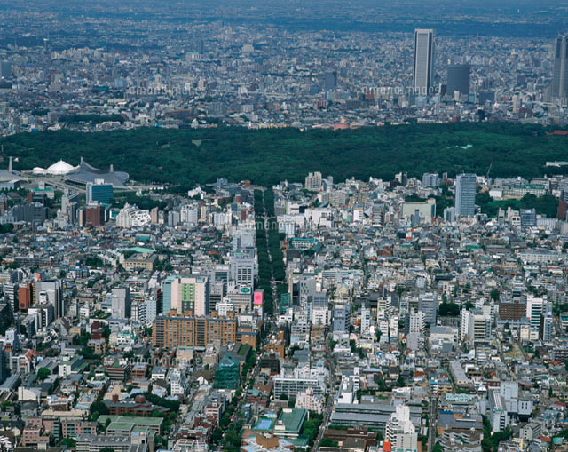 表参道の空撮 東京都[11002018823]の写真・イラスト素材｜アマナイメージズ