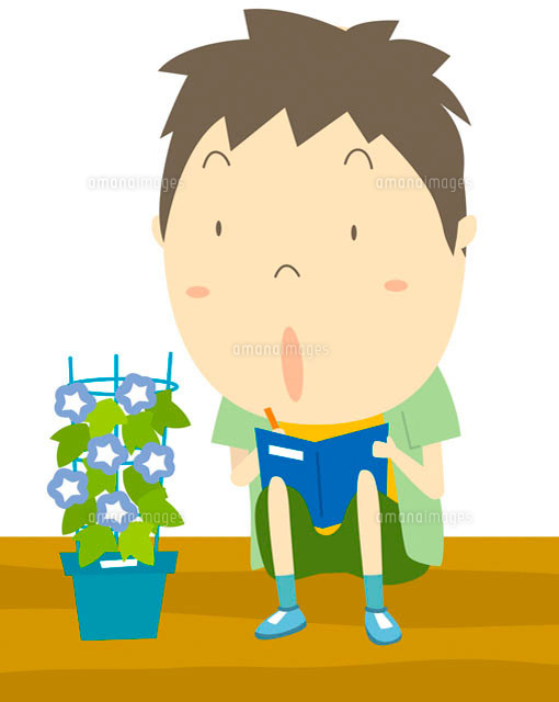 アサガオの観察 イラスト の写真素材 イラスト素材 アマナイメージズ