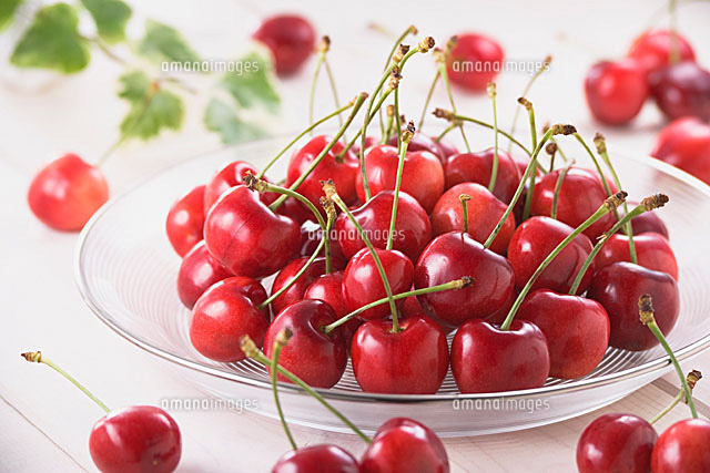 アメリカンチェリー[11002028584]の写真・イラスト素材｜アマナイメージズ
