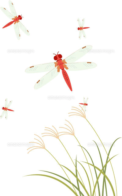 ビーチ の写真素材 イラスト素材 アマナイメージズ