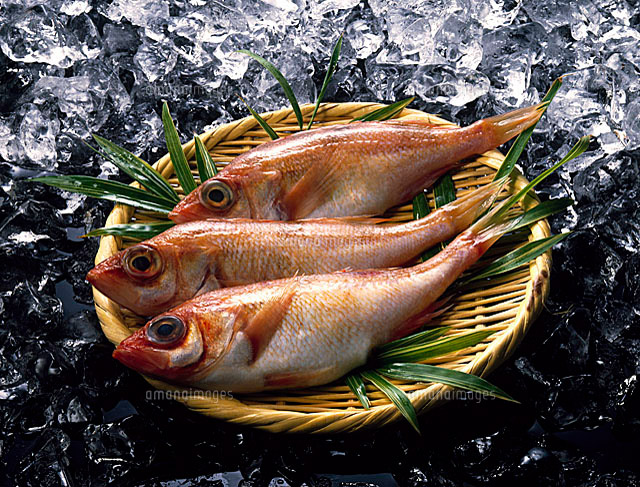 金目鯛 の写真素材 イラスト素材 アマナイメージズ