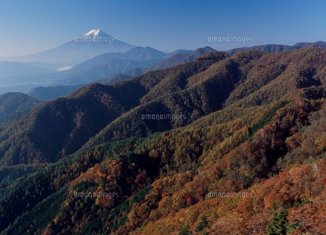 大月市 姥子山 山の紅葉と富士山 の写真素材 イラスト素材 アマナイメージズ