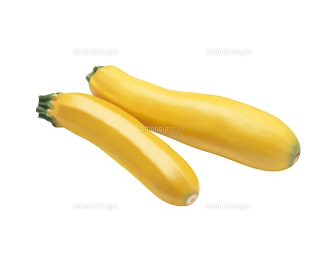 黄ズッキーニ の写真素材 イラスト素材 アマナイメージズ