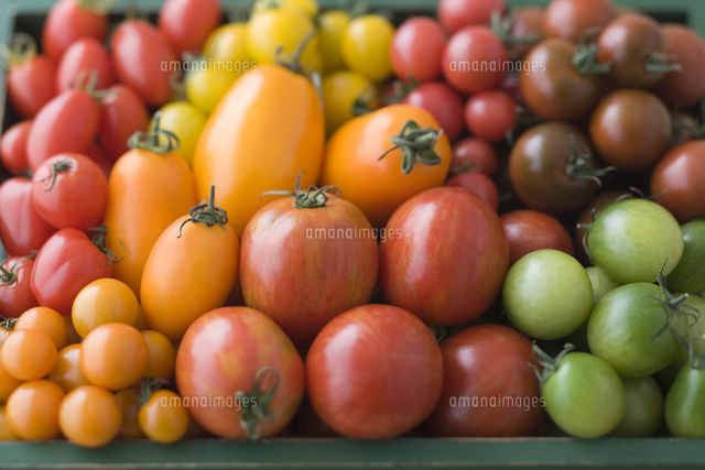 トマト プチトマト ミニトマト の写真素材 イラスト素材 アマナイメージズ