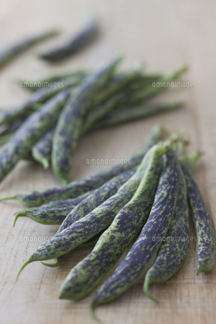 霜降りインゲン 霜降りいんげん[11002064666]の写真・イラスト素材｜アマナイメージズ