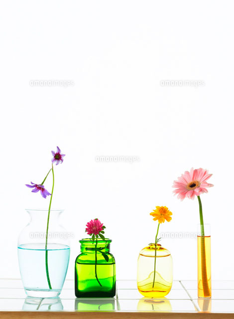 花瓶に入った花 の写真素材 イラスト素材 アマナイメージズ