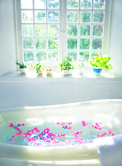 花びらが浮いたバスタブ の写真素材 イラスト素材 アマナイメージズ