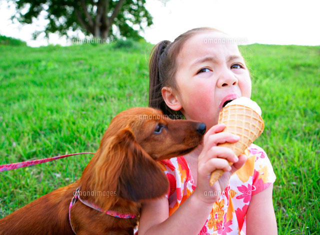 ソフトクリームを食べる女の子と犬 の写真素材 イラスト素材 アマナイメージズ