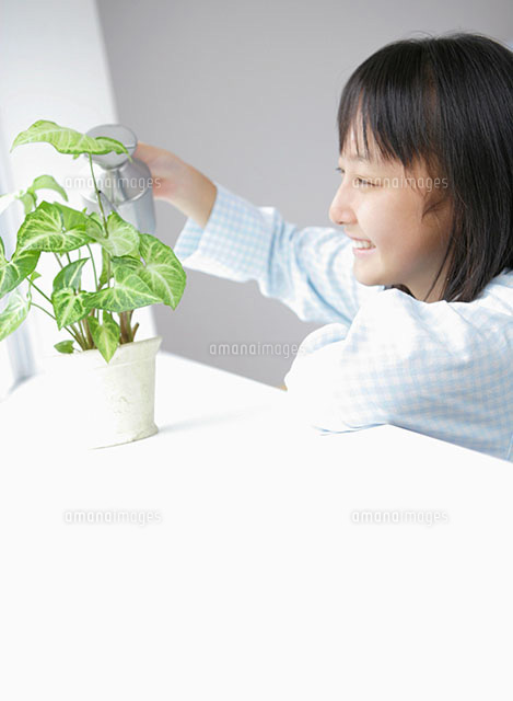 観葉植物を育てる女の子 の写真素材 イラスト素材 アマナイメージズ