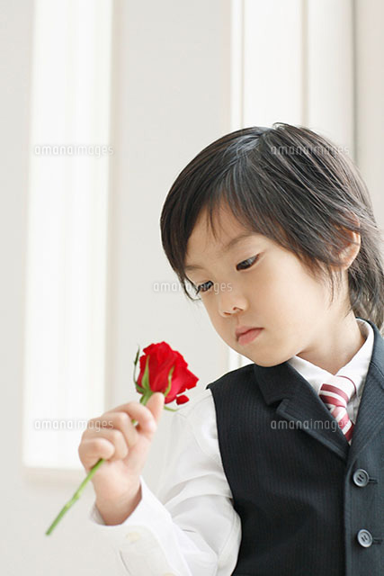 赤いバラを持った男の子 の写真素材 イラスト素材 アマナイメージズ
