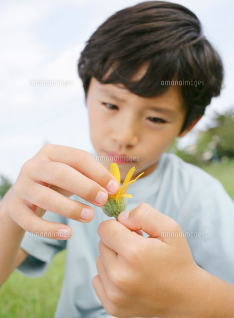 花を持つ男の子 の写真素材 イラスト素材 アマナイメージズ