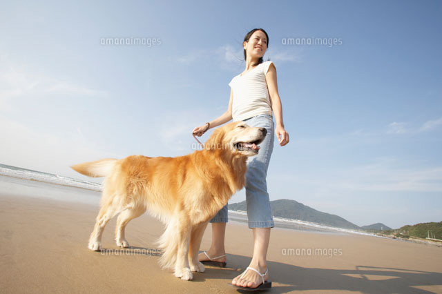 海辺を散歩する女性とゴールデンレトリバー の写真素材 イラスト素材 アマナイメージズ