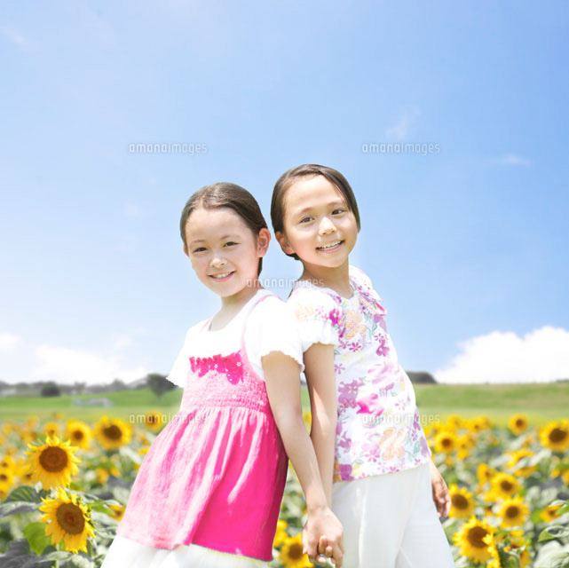 ひまわり畑と二人の女の子 の写真素材 イラスト素材 アマナイメージズ