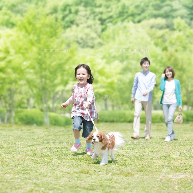 散歩する家族と犬 の写真素材 イラスト素材 アマナイメージズ