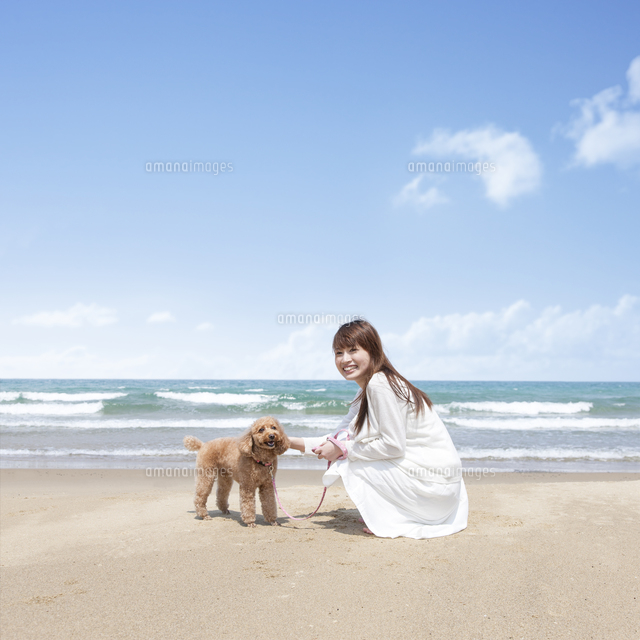 海辺で犬を触る女性 の写真素材 イラスト素材 アマナイメージズ