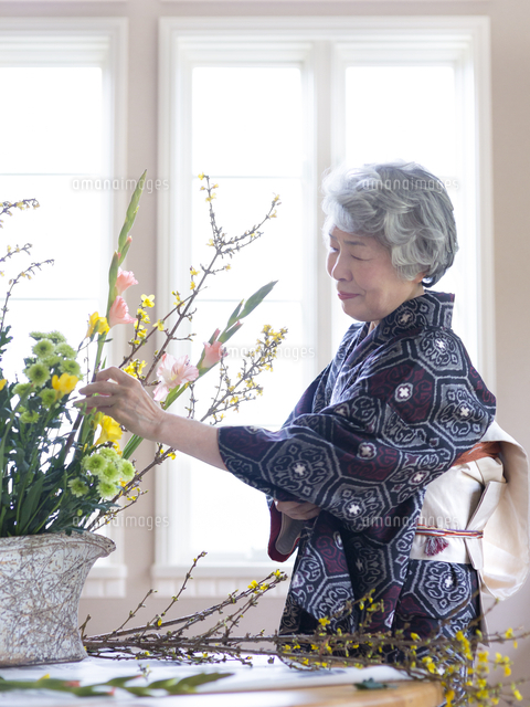生け花をする着物姿のシニア女性 の写真素材 イラスト素材 アマナイメージズ