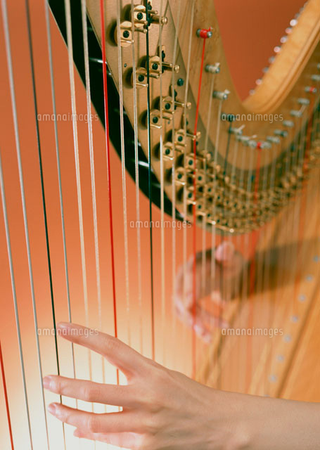 ハープ演奏 の写真素材 イラスト素材 アマナイメージズ