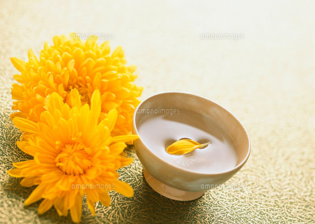 菊の酒 の写真素材 イラスト素材 アマナイメージズ