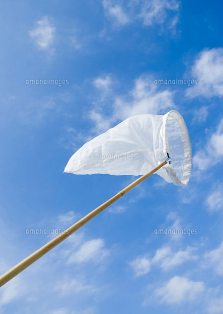 虫取り網 の写真素材 イラスト素材 アマナイメージズ