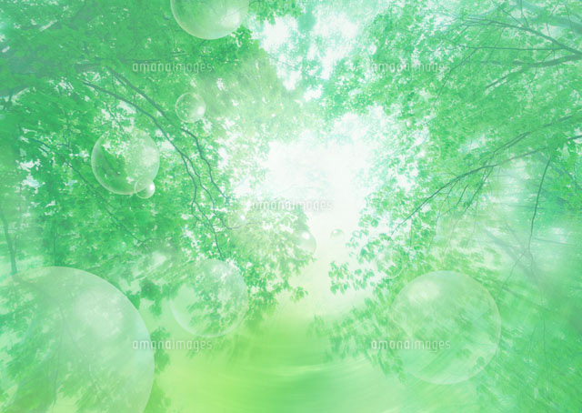 新緑の森と木漏れ日 の写真素材 イラスト素材 アマナイメージズ