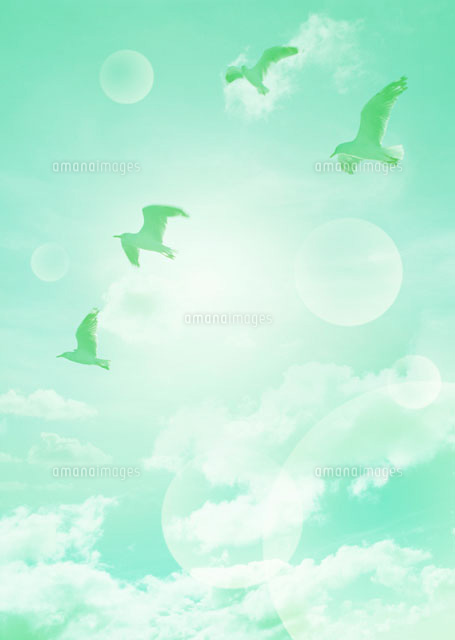 空と鳥 の写真素材 イラスト素材 アマナイメージズ