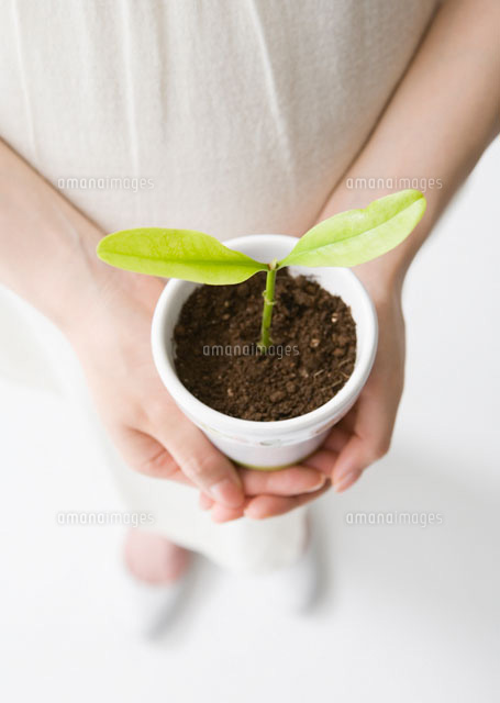 鉢植えを持つ妊婦 の写真素材 イラスト素材 アマナイメージズ