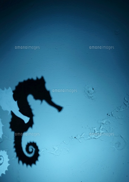 タツノオトシゴのシルエット の写真素材 イラスト素材 アマナイメージズ