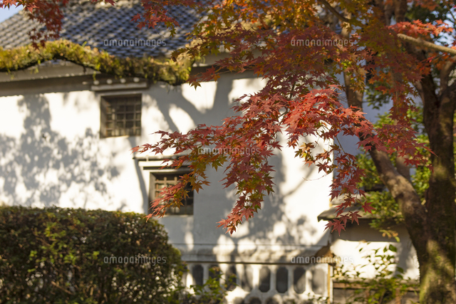 旧細川刑部邸の紅葉 の写真素材 イラスト素材 アマナイメージズ