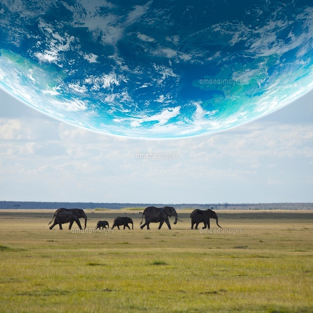 地球とアフリカ象 の写真素材 イラスト素材 アマナイメージズ