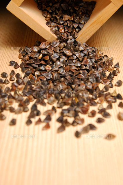 そばの実 の写真素材 イラスト素材 アマナイメージズ