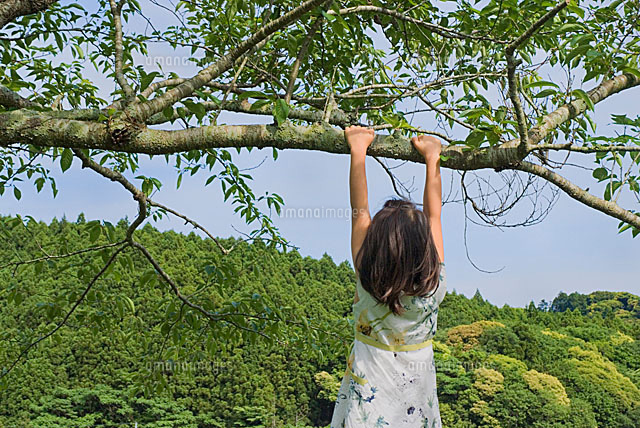 木にぶら下がる少女 の写真素材 イラスト素材 アマナイメージズ 木にぶら下がる少女 の写真素材 イラスト素材 アマナイメージズ