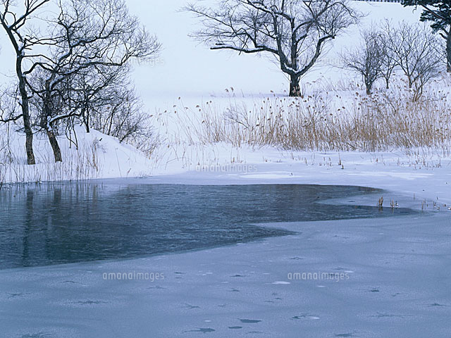 氷の張った水面 の写真素材 イラスト素材 アマナイメージズ