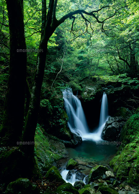 明神滝 音水渓谷 の写真素材 イラスト素材 アマナイメージズ