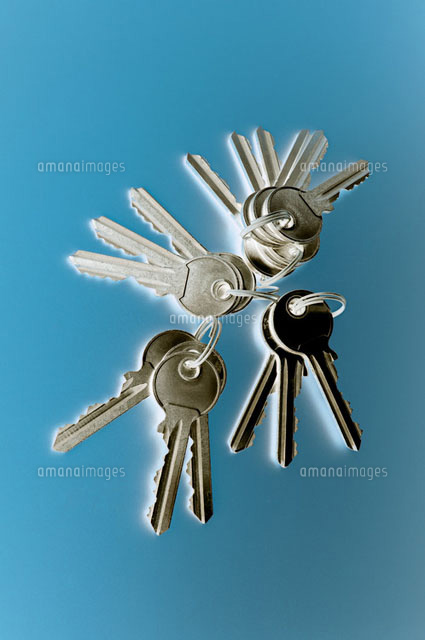 Keys[11015082663]の写真素材・イラスト素材｜アマナイメージズ